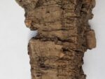 Блок №3 из коры пробкового дуба W=20-25 см, H=7-12 см