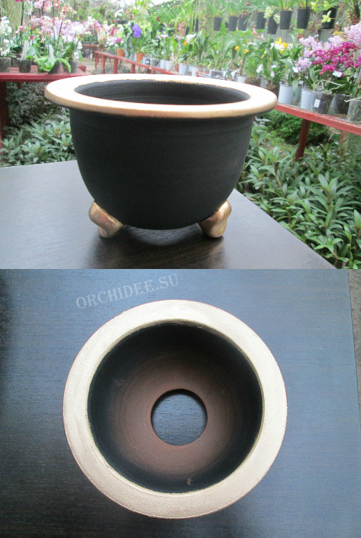 Терракотовый горшок для неофинетий черный/золото (13,0 х 9,0 внешний, 10,0 х 8,0 внутренний)