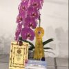 ph_269(2)